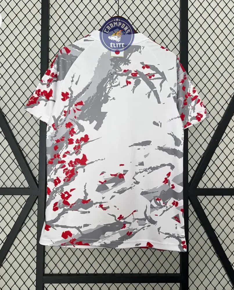 Image of Japon 2024 Concept