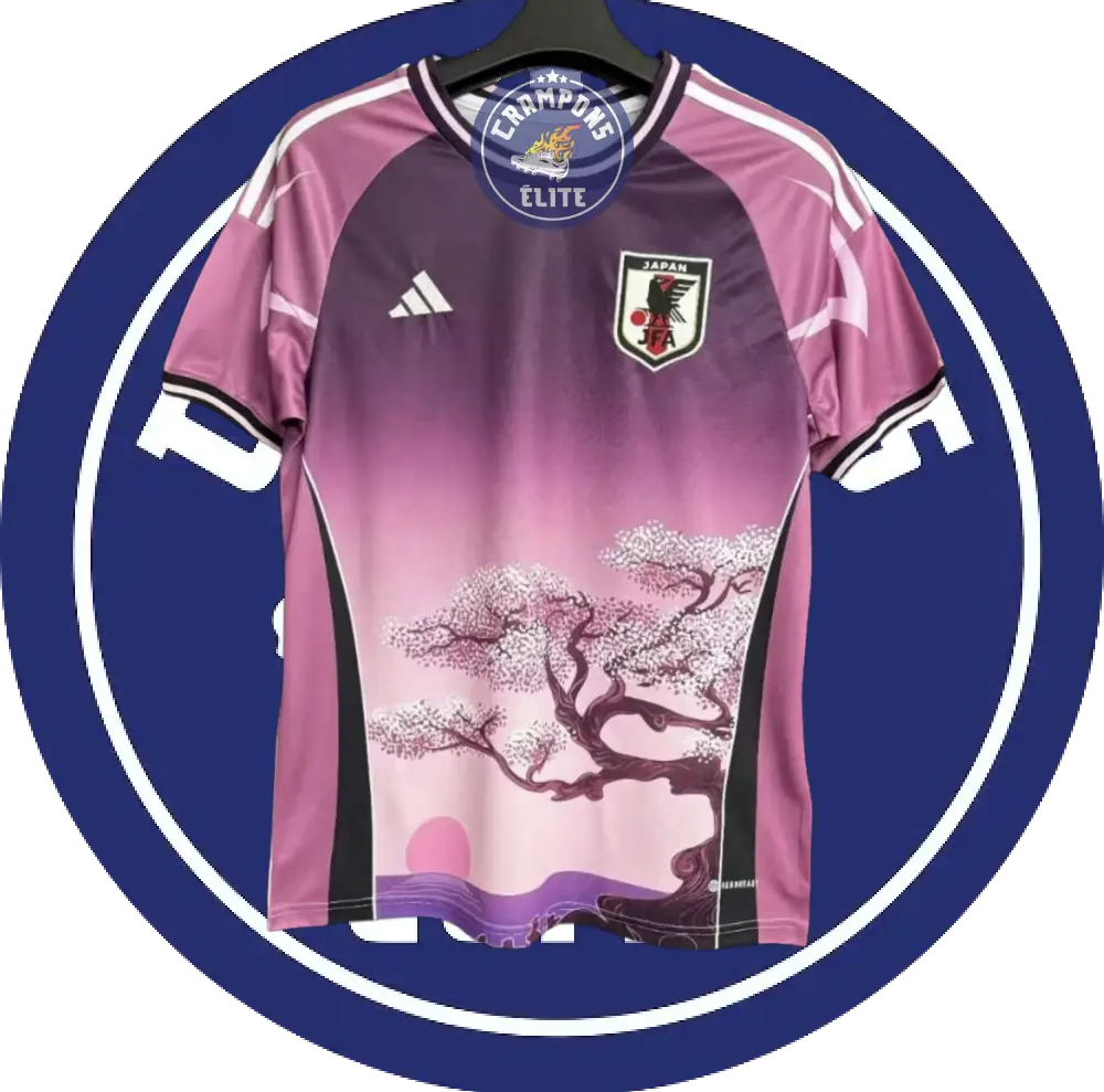 Japon 2024 Concept