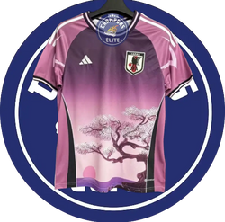 Image of Japon 2024 Concept
