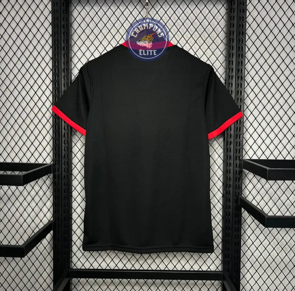 Image of Japon 2024 Concept