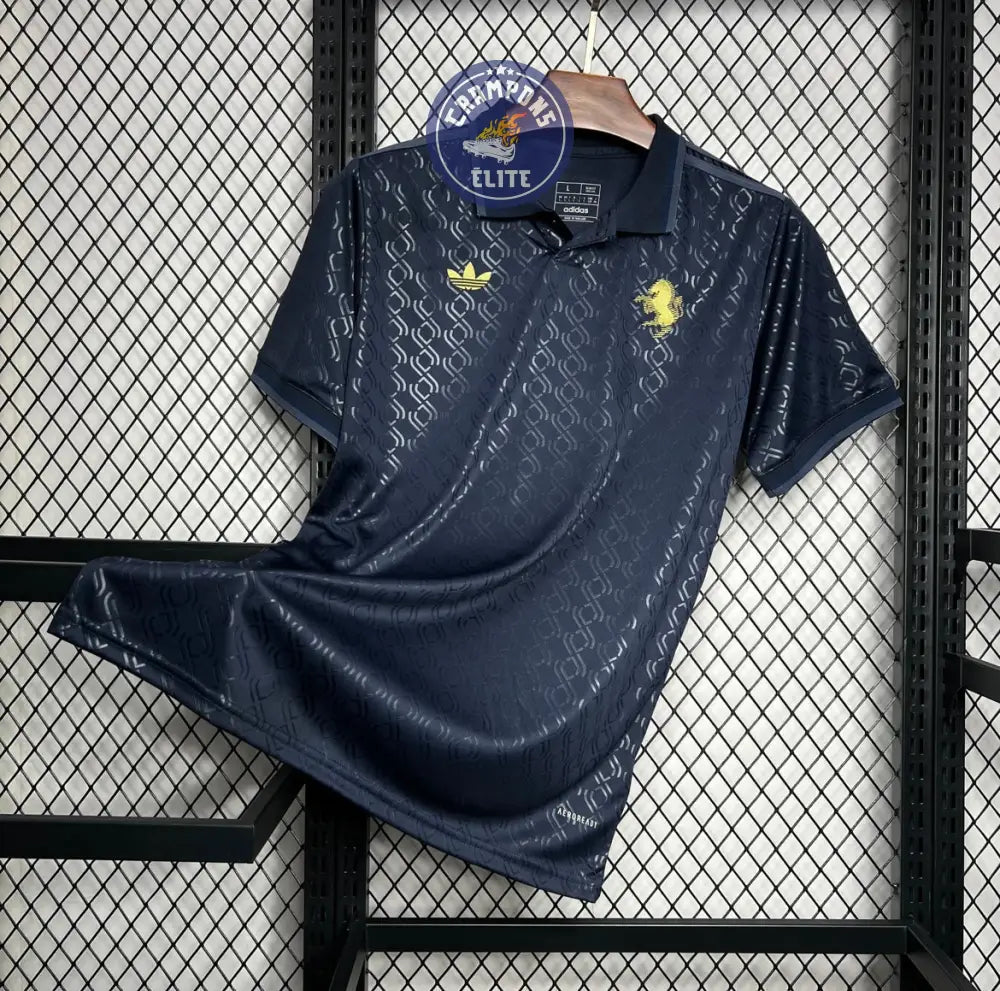 Juventus 2024/25 Third