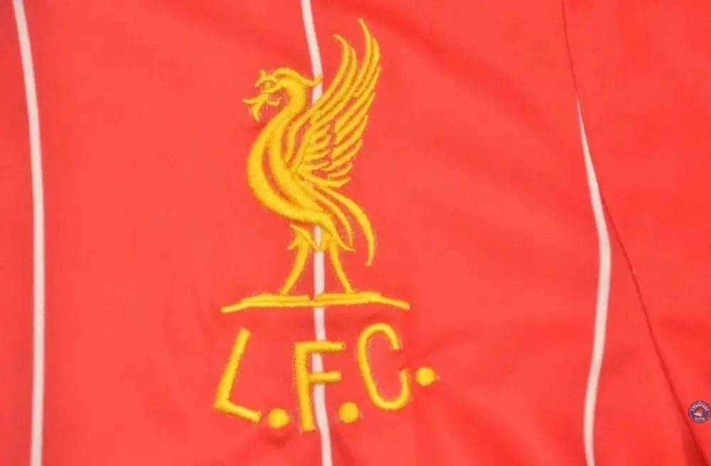 Image of Liverpool 1981/82 Domicile