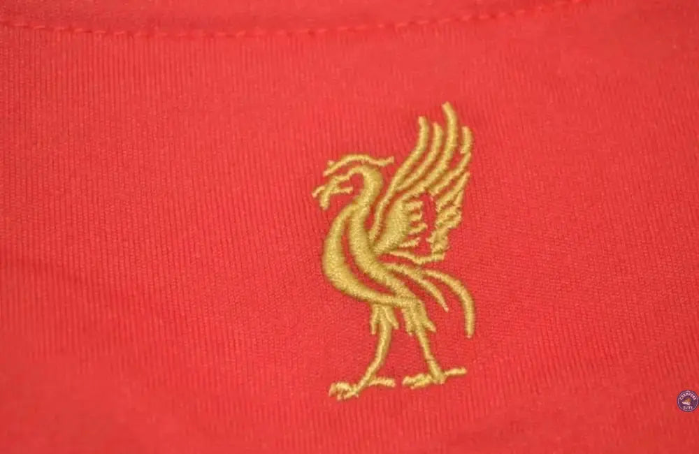 Image of Liverpool 2008/09 Domicile