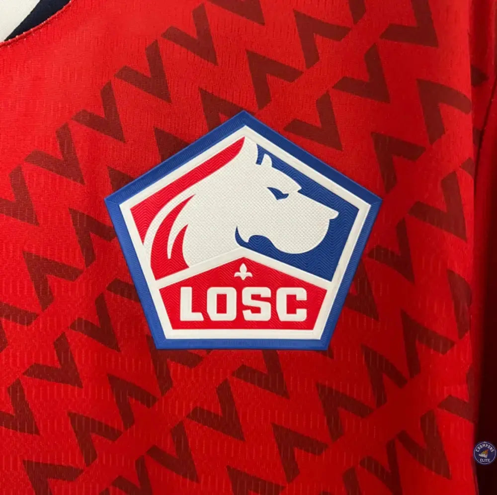 LOSC 2024/25 Domicile
