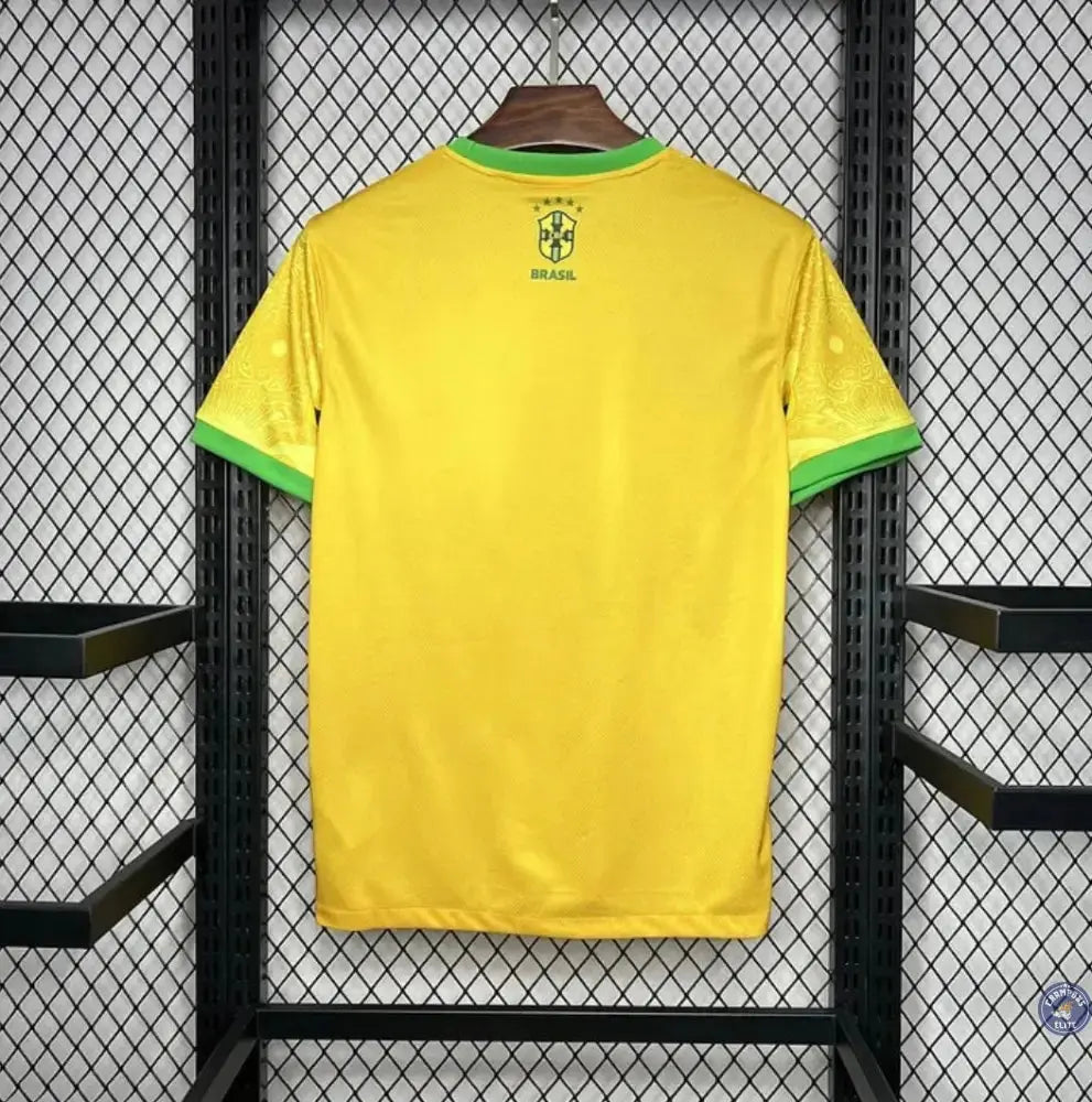 Brésil 2024 Concept