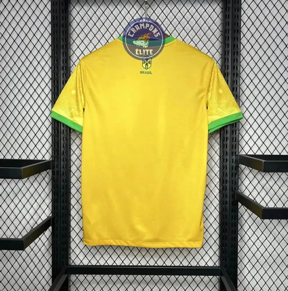 Brésil 2024 Concept