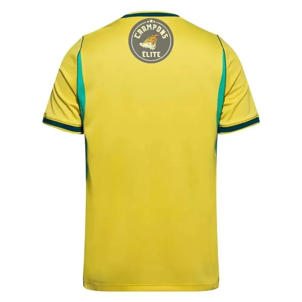 Brésil CDM 2026 Domicile