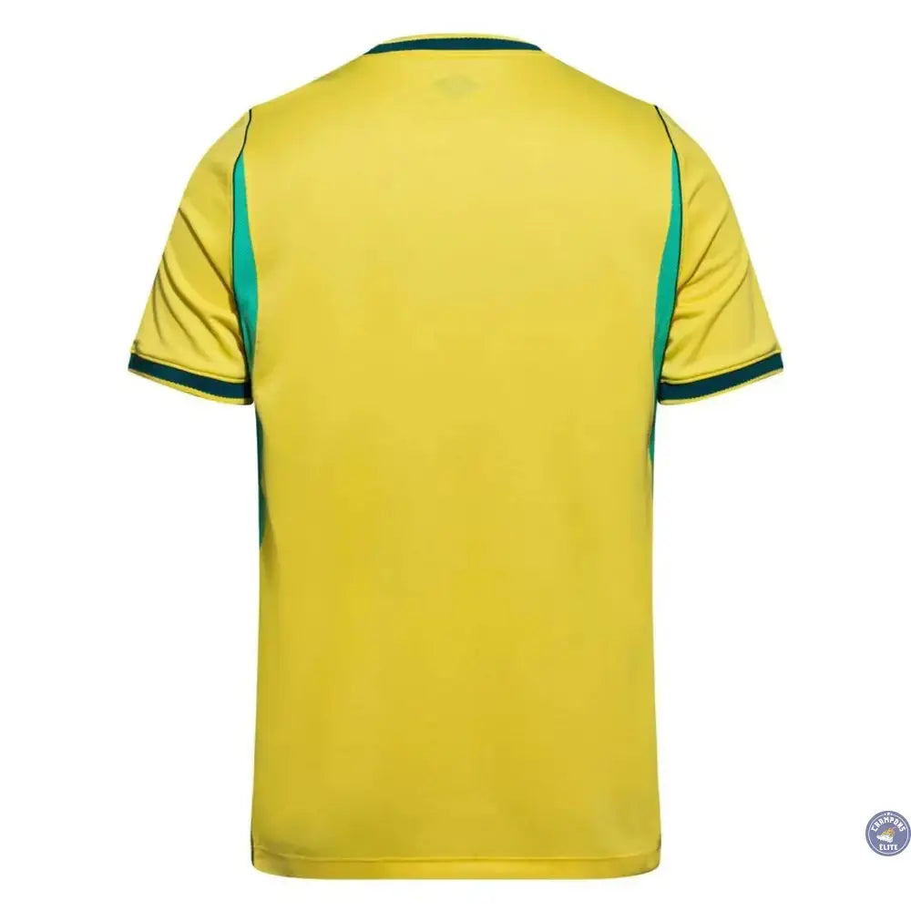 Image of Brésil CDM 2026 Domicile