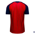 Espagne CDM 2026 Domicile