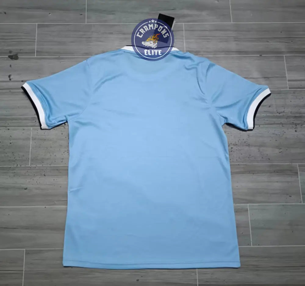 Image of Manchester City 2013/14 Domicile