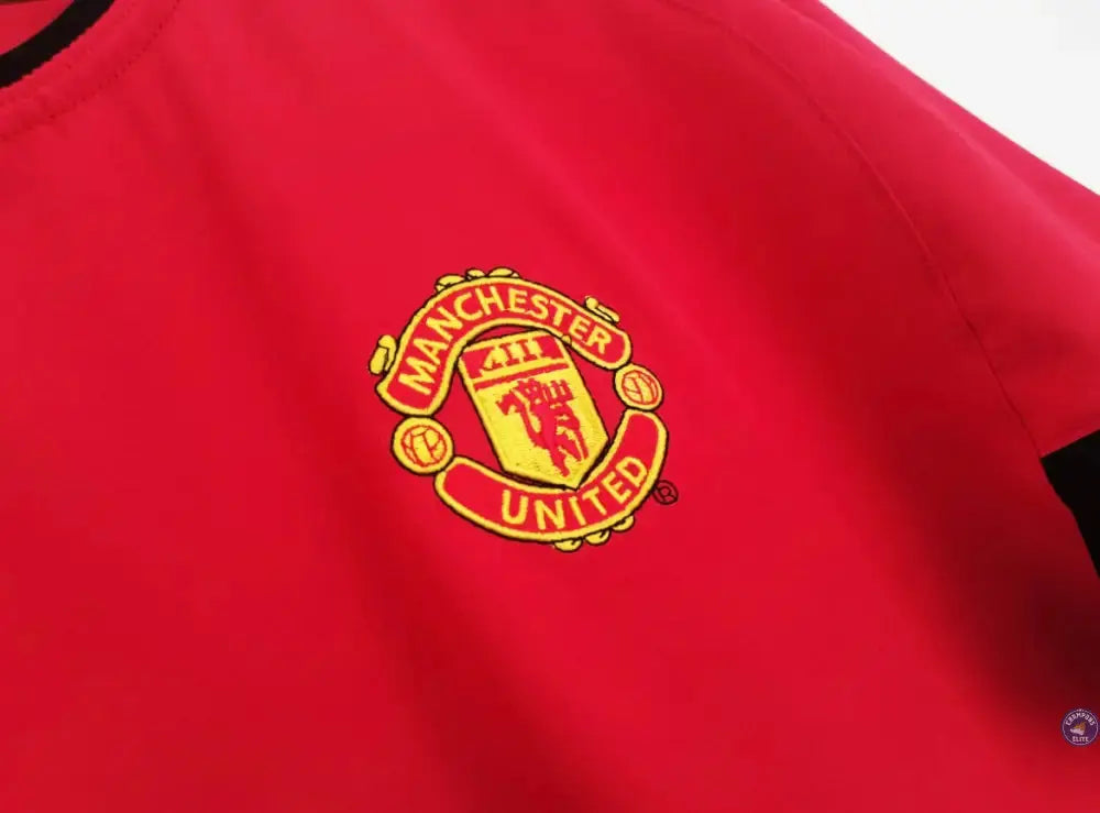Manchester United 2003/04 Domicile