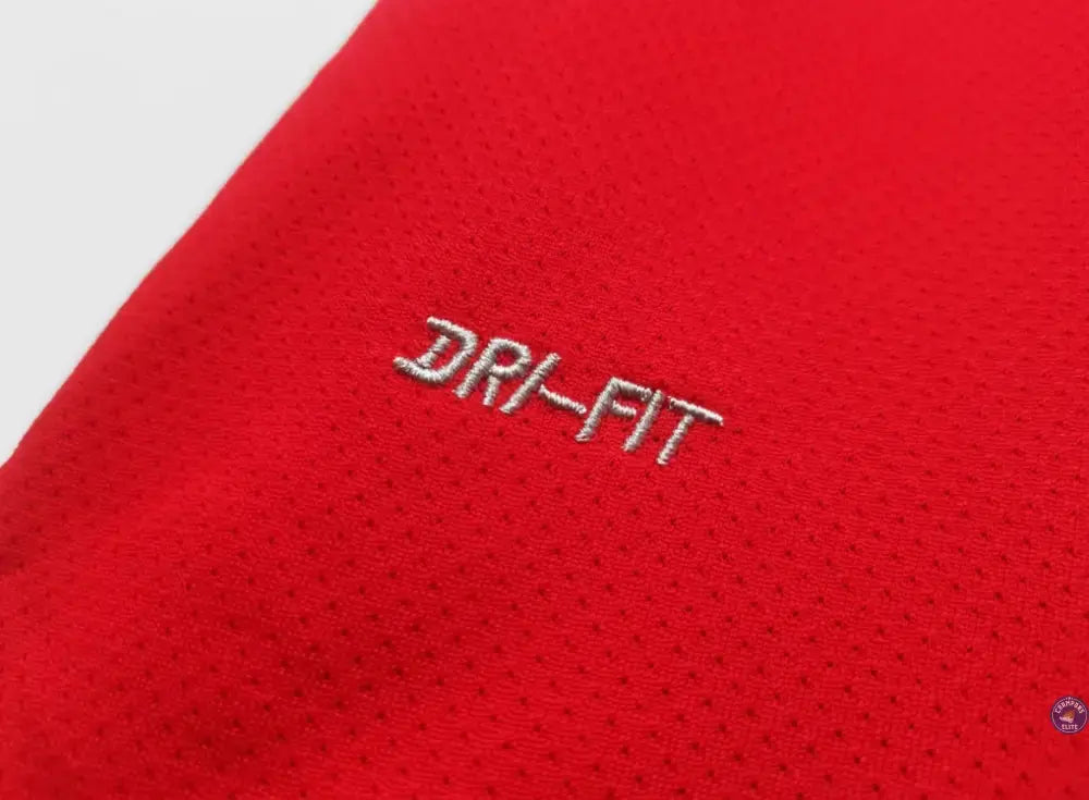 Manchester United 2010/11 Domicile