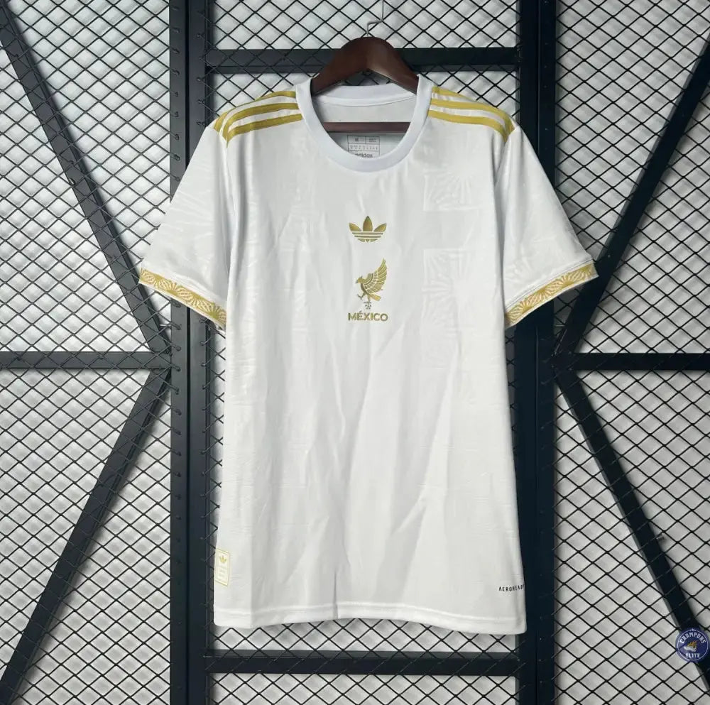 Mexique 2025 Concept