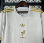 Mexique 2025 Concept