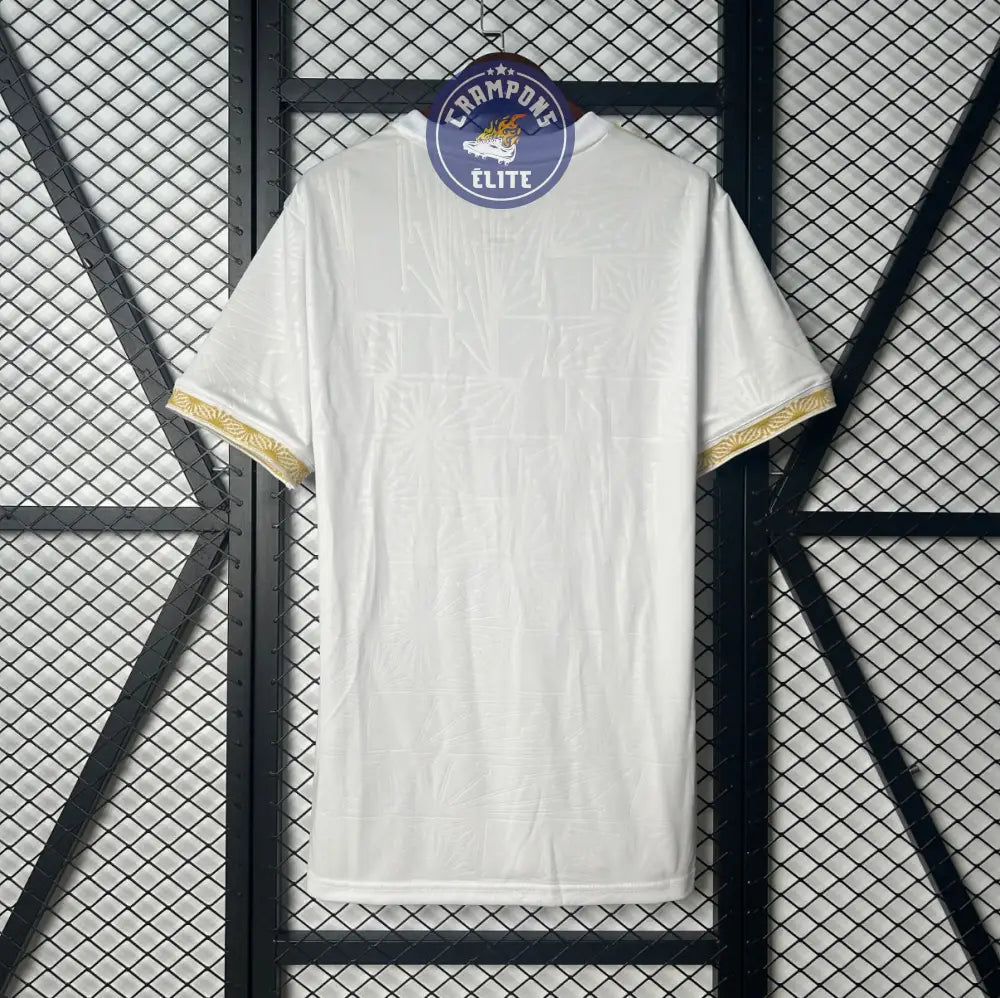 Image of Mexique 2025 Concept