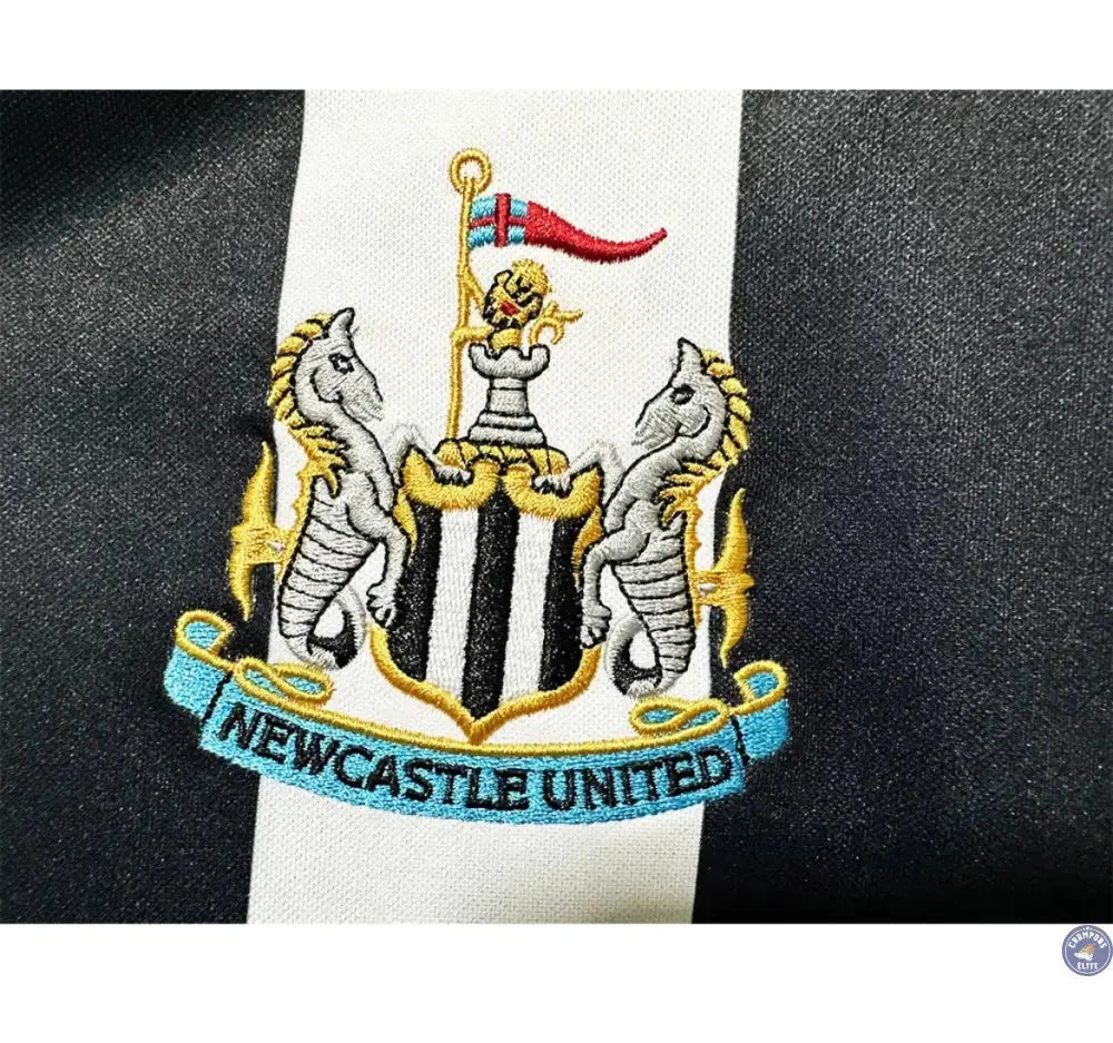 Newcastle 1993/94 Domicile