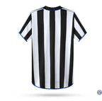 Newcastle 2000/01 Domicile