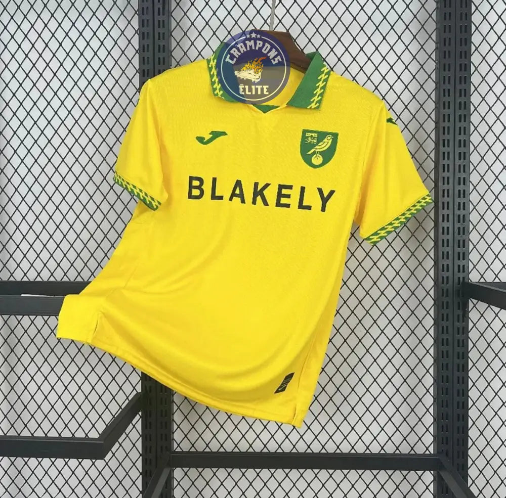 Norwich City 2025/26 Domicile
