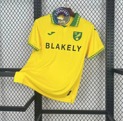 Image of Norwich City 2025/26 Domicile