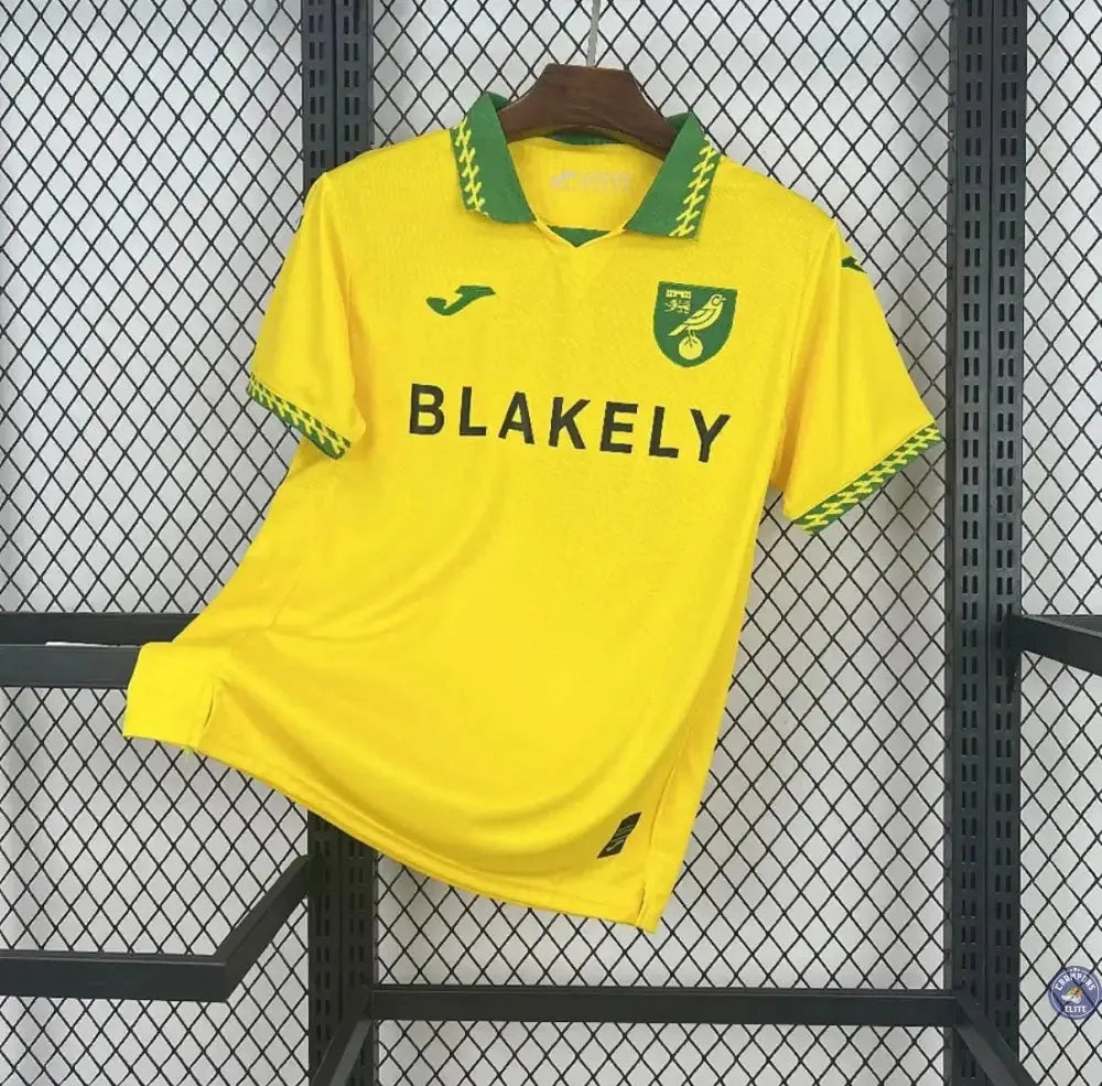 Image of Norwich City 2025/26 Domicile
