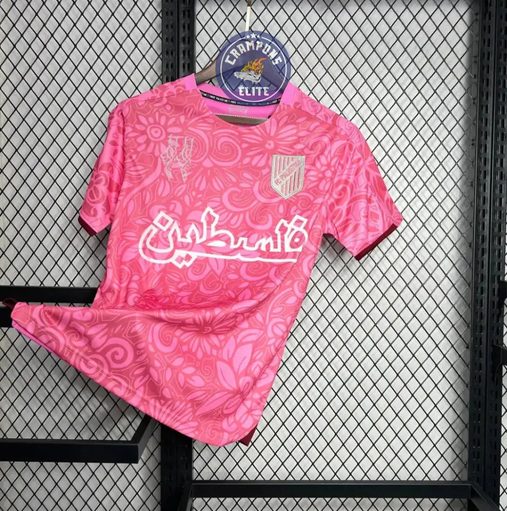 Palestine 2024 Concept