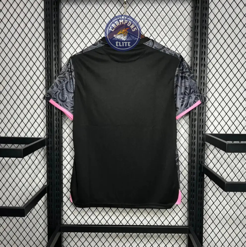 Palestine 2024 Concept