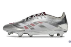 Predator 25.1 FG Bellingham - Argent/Bordeaux
