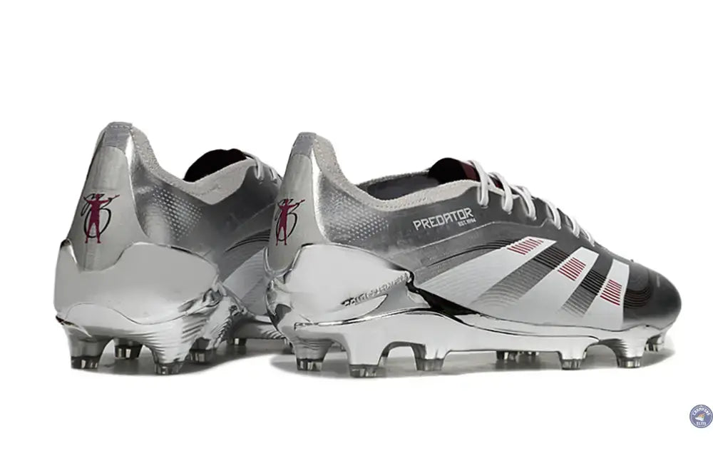 Predator 25.1 FG Bellingham - Argent/Bordeaux