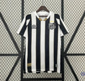 Santos 2024/25 Domicile