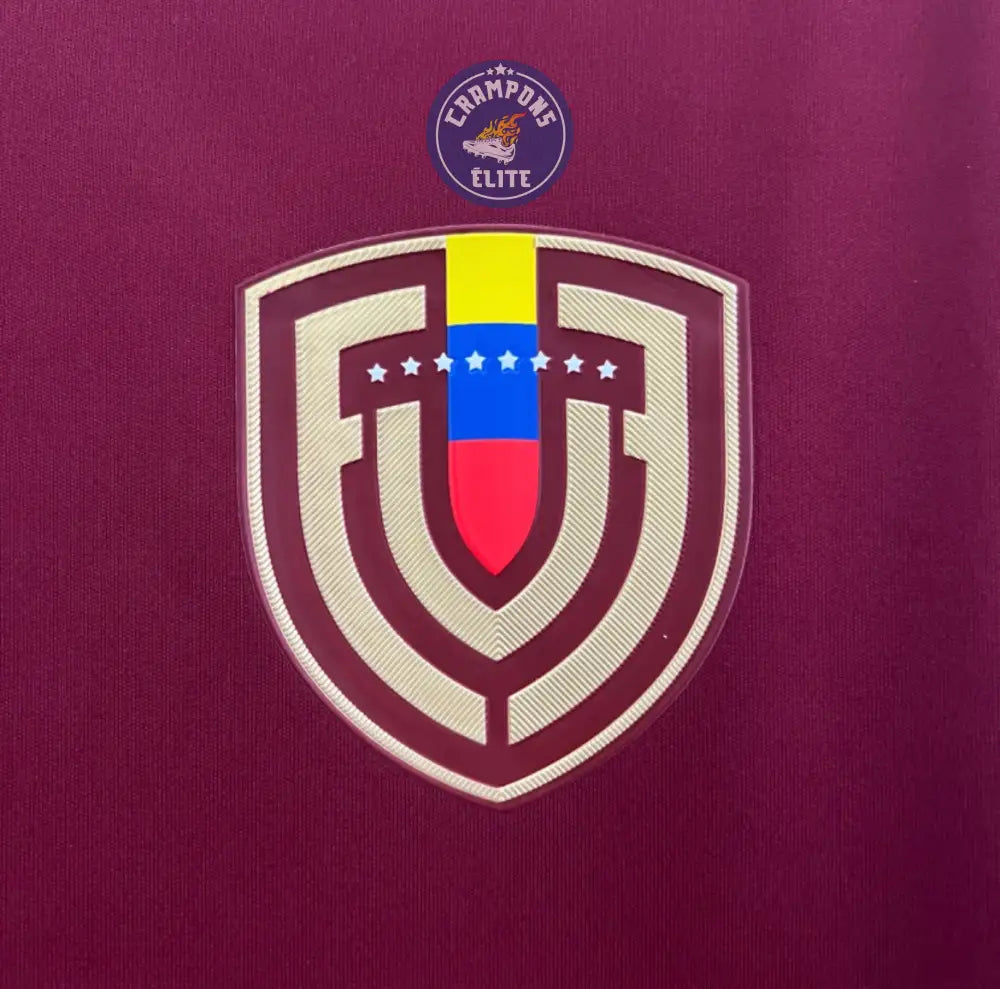 Image of Venezuela 2024 Domicile